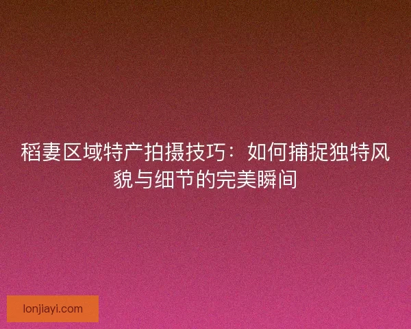 稻妻区域特产拍摄技巧：如何捕捉独特风貌与细节的完美瞬间